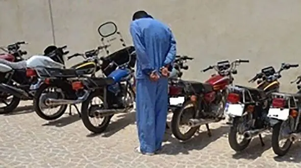 عجیب ترین دزدان تهرانی با پابند الکترو نیکی هم سرقت کردند / لیاقت آزادی را نداشتند