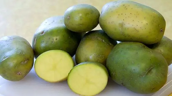 مرگ در کمین مصرف کنندگان سیب زمینی سبز رنگ