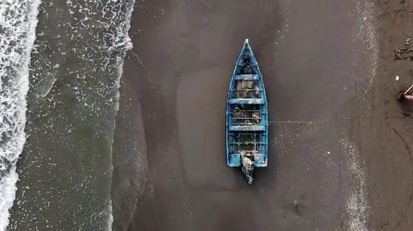 ببینید / طبیعت و موسیقی دلنشین + فیلم