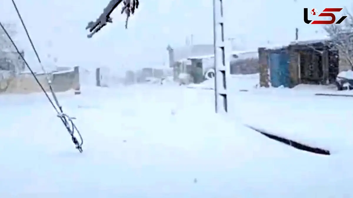 فیلم مناظر زمستانی و سفیدپوش شهرستان بوکان