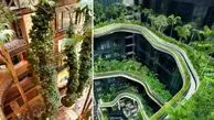 فیلم/ معماری پایدار خلاقانه؛ پروژه بی نظیر نیاوران که 120 درخت را در وجود خود نگه داشته