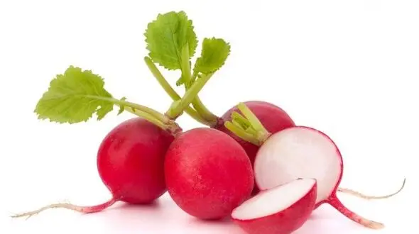 با تربچه به جنگ سنگ کلیه بروید !