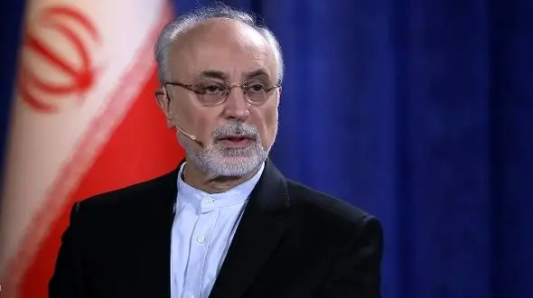 پاسخ‌های صریح و کنایه آمیز صالحی به تیم جلیلی