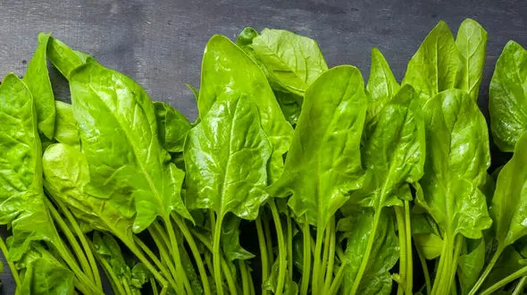 بهترین غذاها برای کبد + فیلم