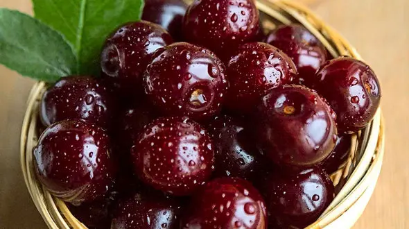 فواید گیلاس برای بدن + اینفوگرافی