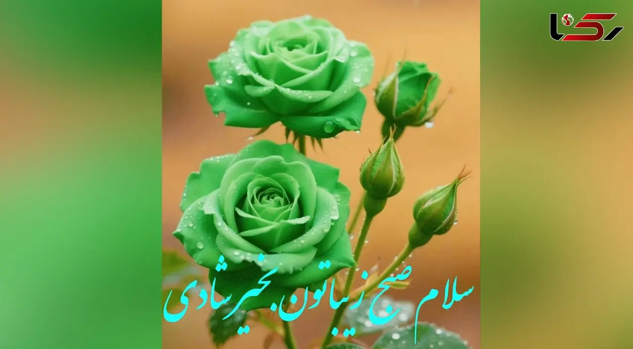 جملات مثبت امروز + فیلم