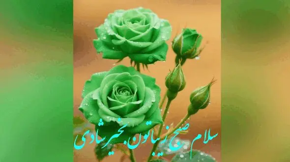 جملات مثبت امروز + فیلم