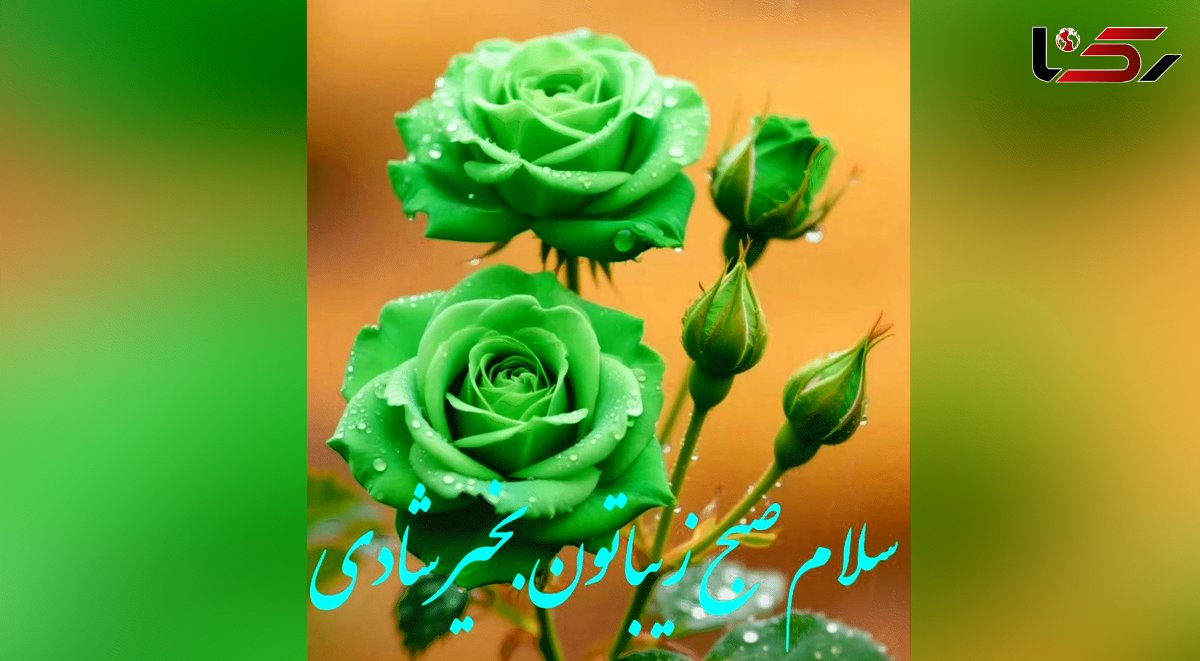 جملات مثبت امروز + فیلم