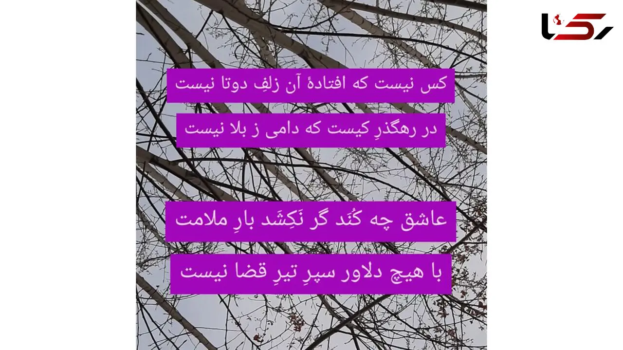 نیت کن و فال حافظ 8 شهریور را بخوان