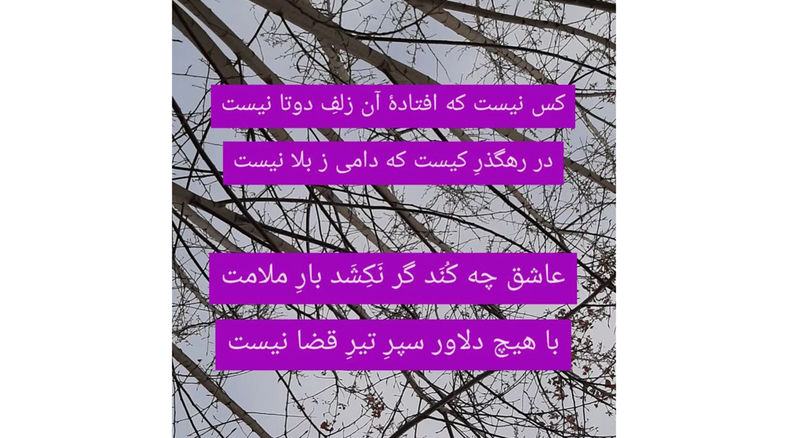 نیت کن و فال حافظ 8 شهریور را بخوان