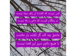 نیت کن و فال حافظ 8 شهریور را بخوان