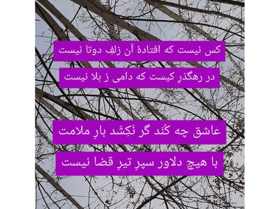 نیت کن و فال حافظ 8 شهریور را بخوان