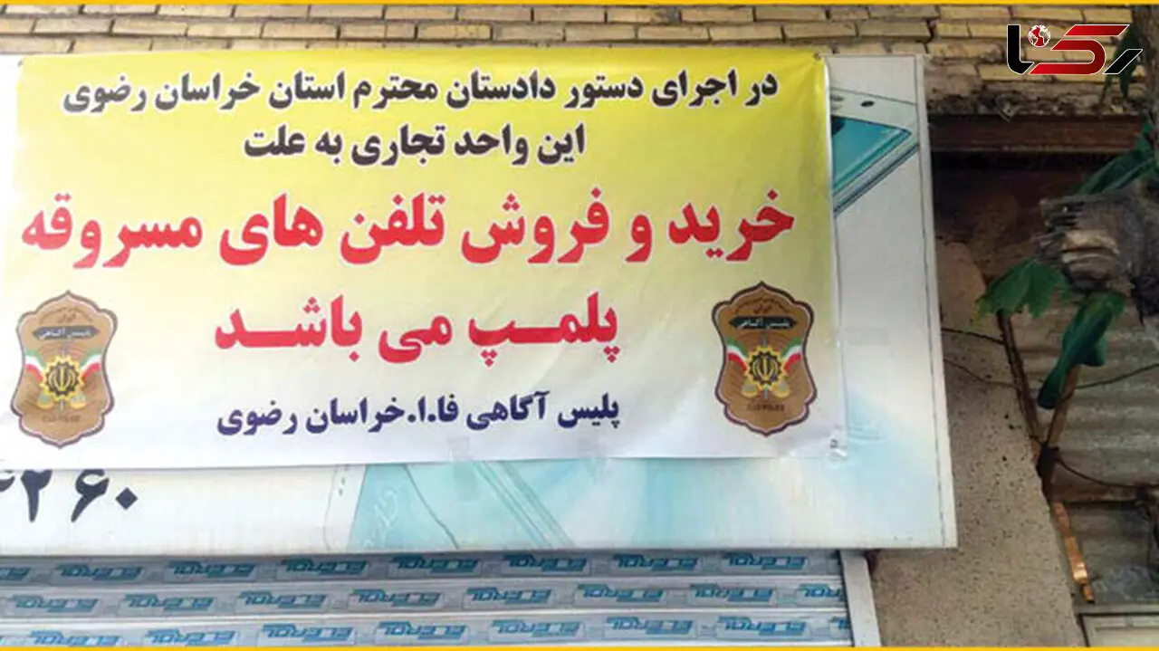 وحشت 120 زن و مرد شاکی با دیدن تبهکاران باند گربه های وحشی در آگاهی مشهد +عکس