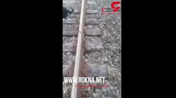 نجات جان سگ زنجیر شده آماده برای مرگ! +فیلم