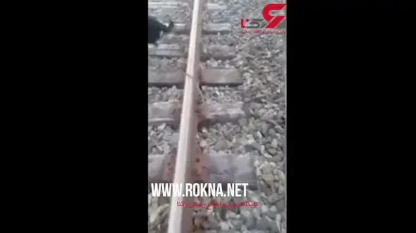 نجات جان سگ زنجیر شده آماده برای مرگ! +فیلم