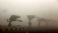 هوای شرق کرمان در شرایط خطرناک / طوفان شن ۲ شهرستان را تعطیل کرد
