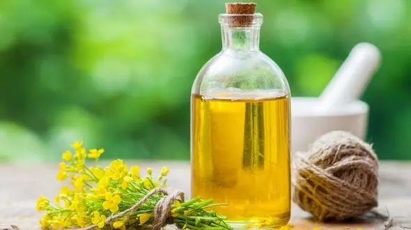 مصرف این روغن گیاهی به افراد چاق توصیه می شود