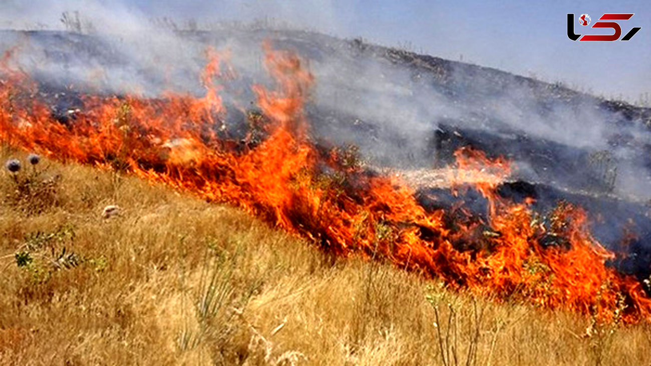 آتش سوزی در مزارع کشاورزی در استان مرکزی