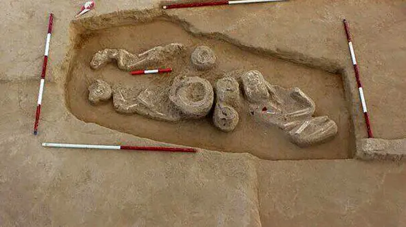 کشف یک گور تاریخی در عملیات راه سازی اردبیل + تصاویر