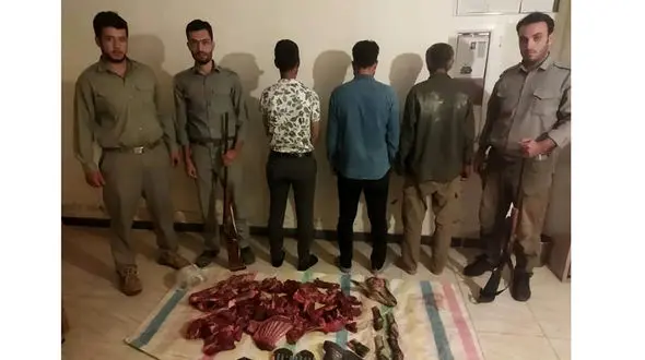 شکارچیان کل وحشی در پارک ملی کنتال جلفا دستگیر شدند + عکس