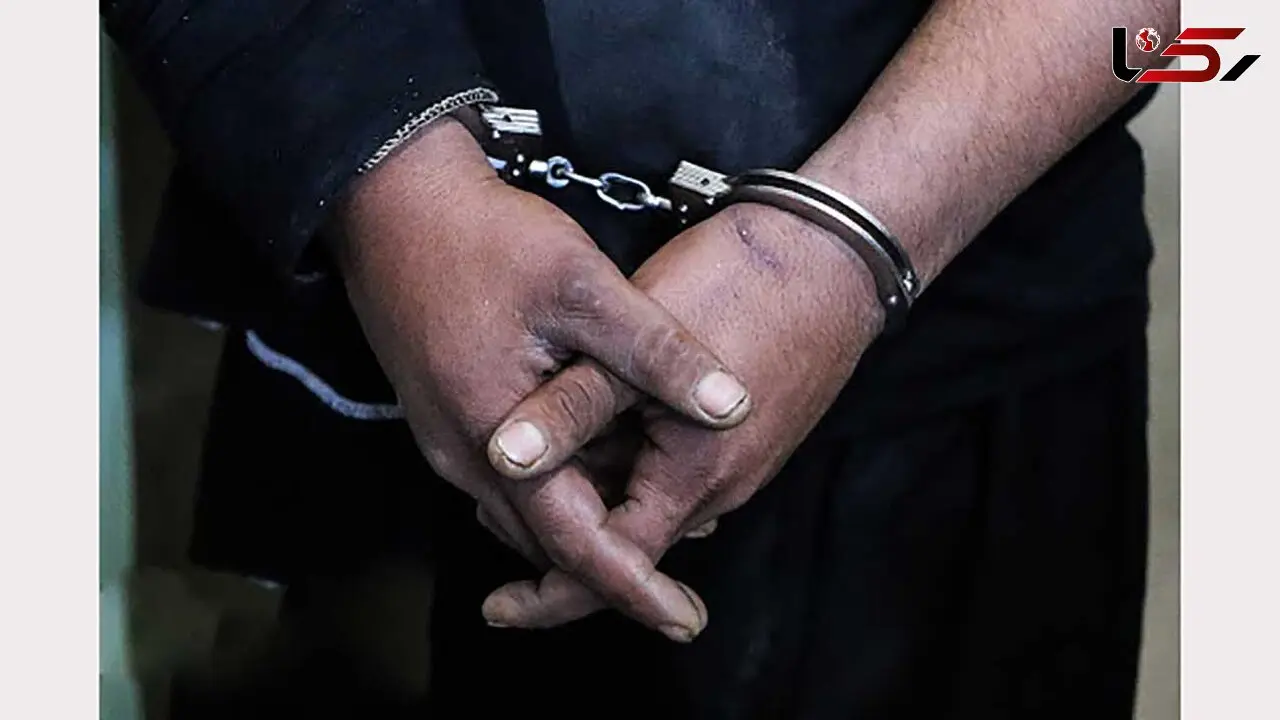 استراحت در خودروی لوکس سارق تهرانی را لو داد / با شلیک پلیس زمینگیر شدند