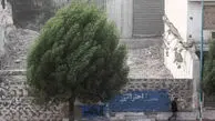 رگبار و رعدوبرق در شمال کشور؛ تداوم باد شدید و گردوخاک در شرق/ تهران در آستانه بارش پراکنده