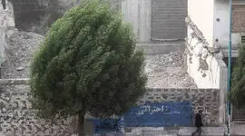 رگبار و رعدوبرق در شمال کشور؛ تداوم باد شدید و گردوخاک در شرق/ تهران در آستانه بارش پراکنده