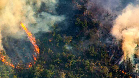 ‏آتش به جان جنگل های ارسباران آذربایجان افتاد