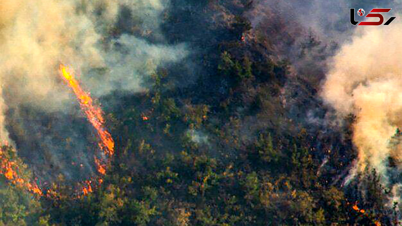 ‏آتش به جان جنگل های ارسباران آذربایجان افتاد