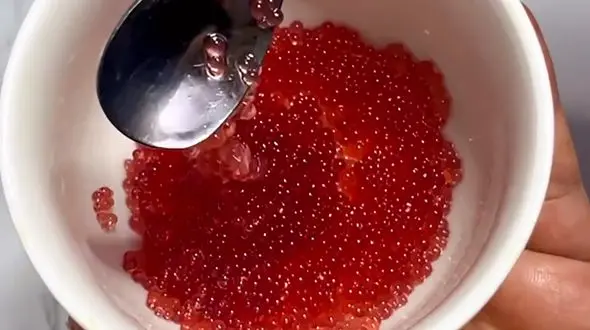 خاویار از نوع ژله ای خورده ای؟ / فیلم