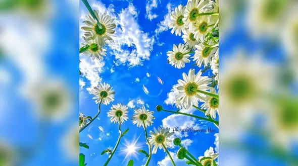 فال ابجد فردا / سه شنبه 13خرداد 