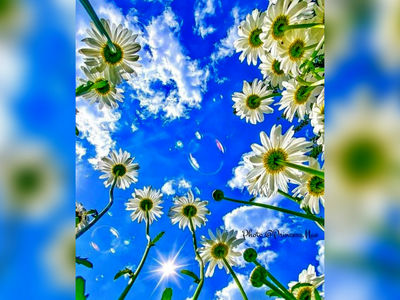 فال ابجد فردا / سه شنبه 13خرداد 