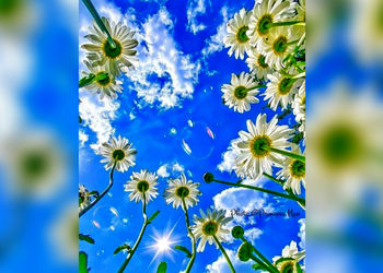 فال ابجد فردا / سه شنبه 13خرداد 