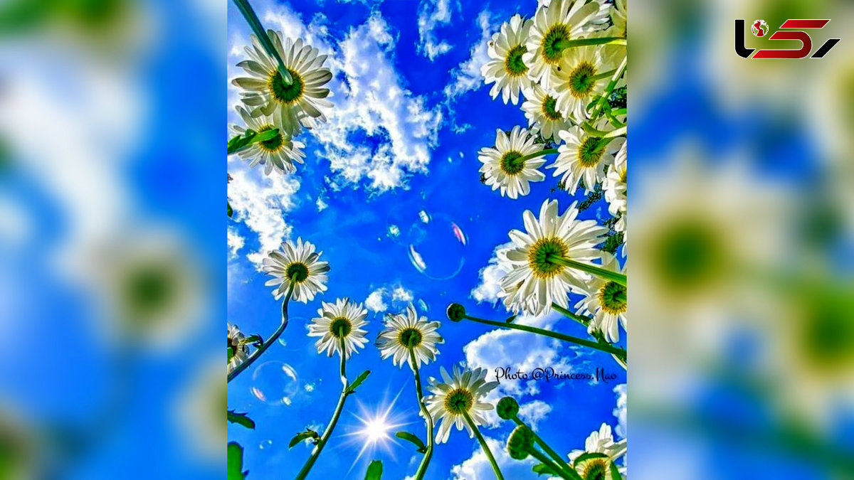 فال ابجد فردا / سه شنبه 13خرداد