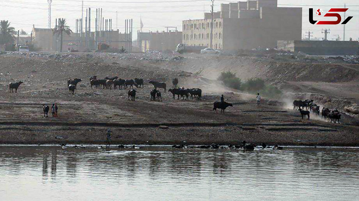 خوزستان مملو از دود است / تداوم آتش سوزی در بخش عراقی تالاب هورالعظیم + فیلم و تصاویر