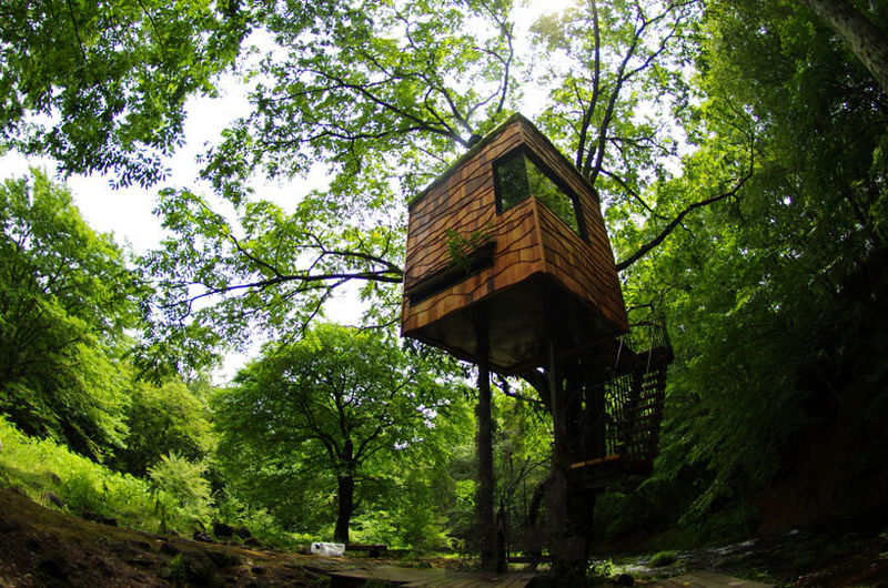 amazing-tree-house-designs-17 - Copy