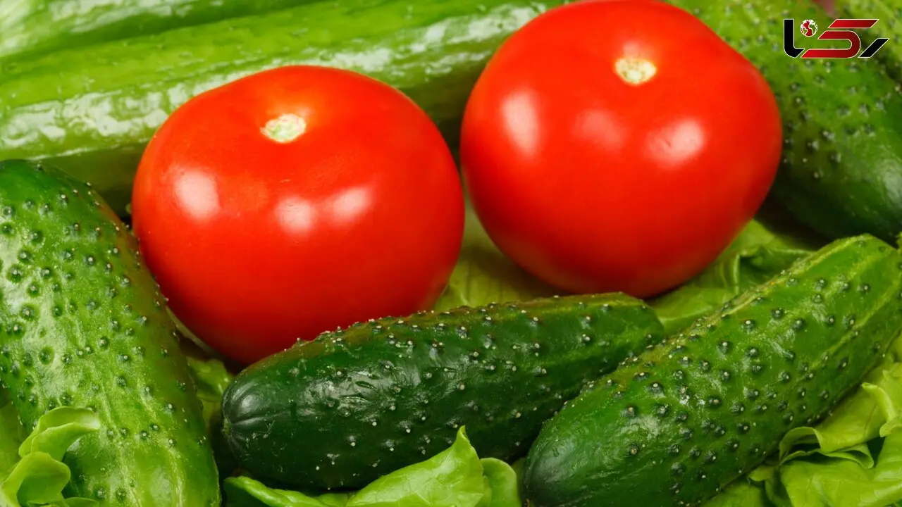 قیمت گوجه فرنگی و خیار شکسته می شود