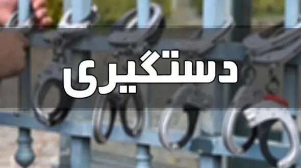 دستگیری سارق سابقه دار در آشخانه