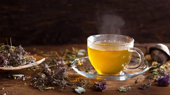 پشمینه یا چای کوهی؛ گیاه دارویی اصفهان 