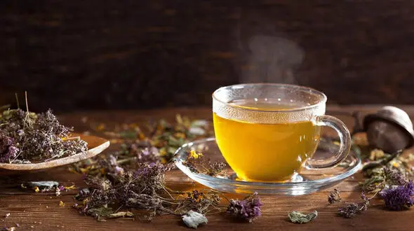 پشمینه یا چای کوهی؛ گیاه دارویی اصفهان 