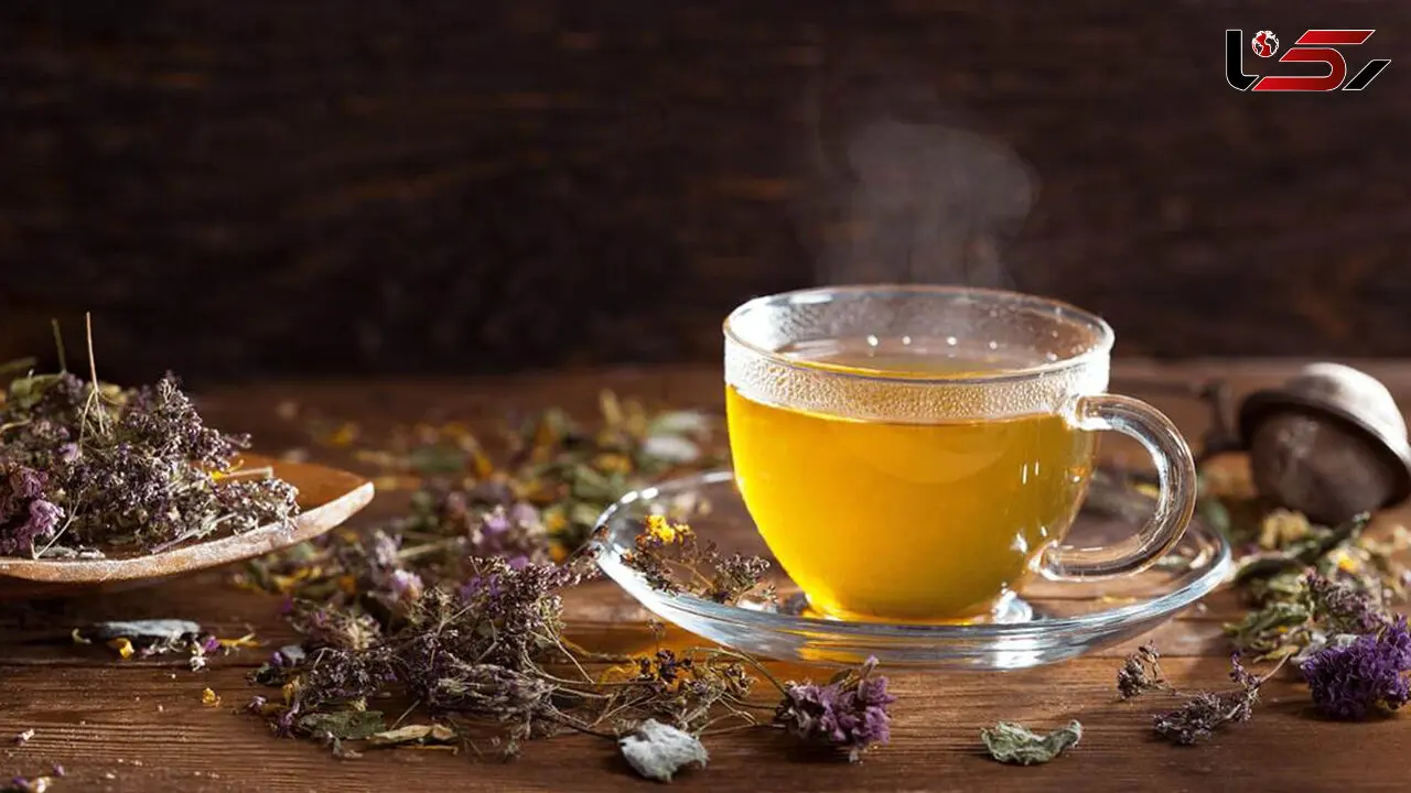 پشمینه یا چای کوهی؛ گیاه دارویی اصفهان 