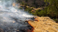  آتش در ارتفاعات دشتستان همچنان شعله وراست 