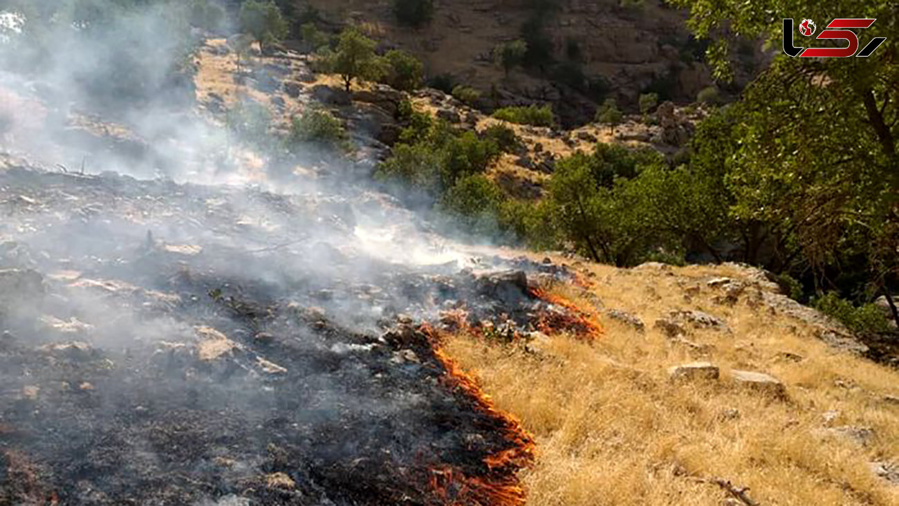 آتش سوزی در کوه‌های بخش ارم دشتستان