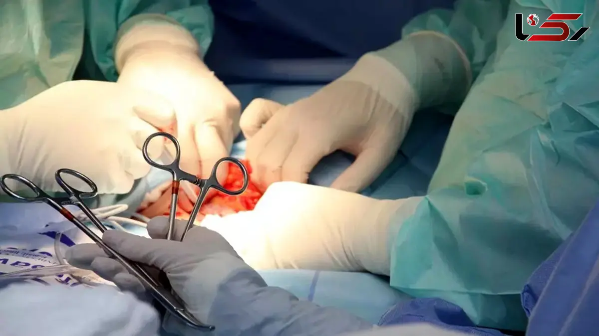 هیدروسل چیست؟ / 9 جدول تخصصی