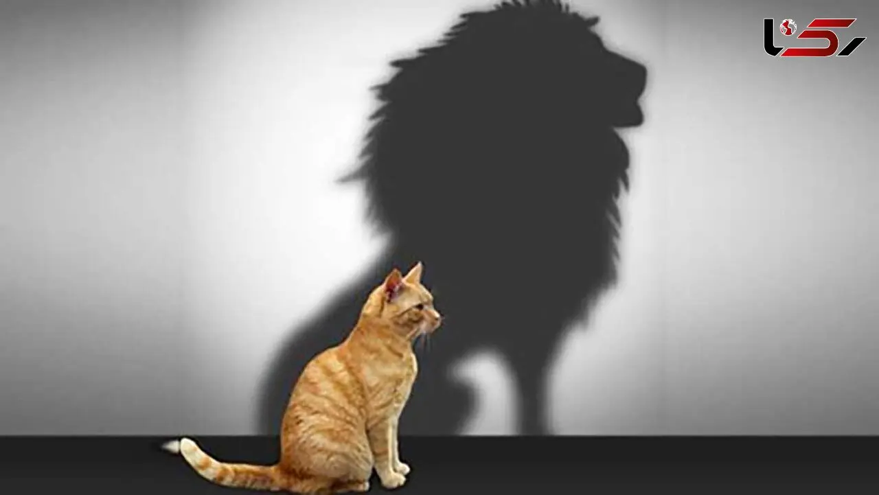 مردانی که فکر می‌کنند از خرس و کروکدیل قوی‌ترند!