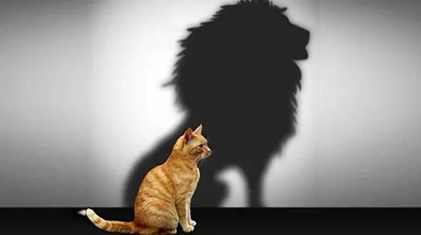 مردانی که فکر می‌کنند از خرس و کروکدیل قوی‌ترند!