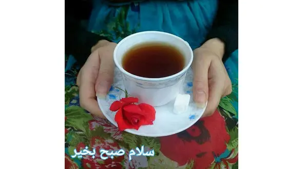 فال روزانه شخصی/ 15 مرداد ماه + فیلم