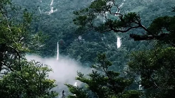 بهونه هارا بریز دور و شروع کن