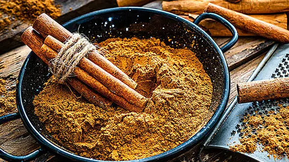 نحوه تشخیص دارچین اصل از تقلبی / فیلم