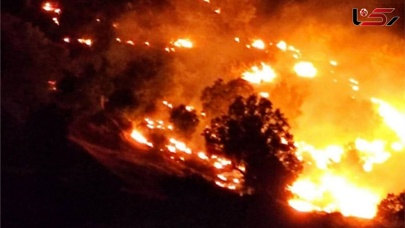 آتش سوزی های سریالی در 10 روستای سردشت 